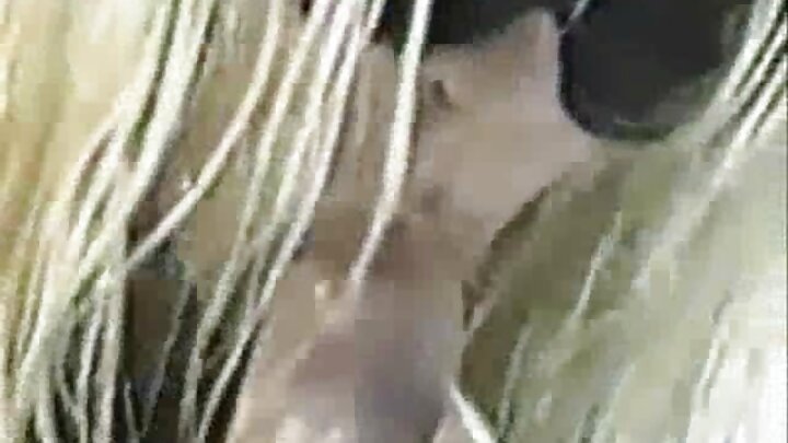 ଏକ ବିରାଟ ଗଧ ସହିତ ଜଣେ ଭଉଣୀ ଚାରି ଥର କ୍ରିମ୍ପାଇଜ୍ ହୁଏ।